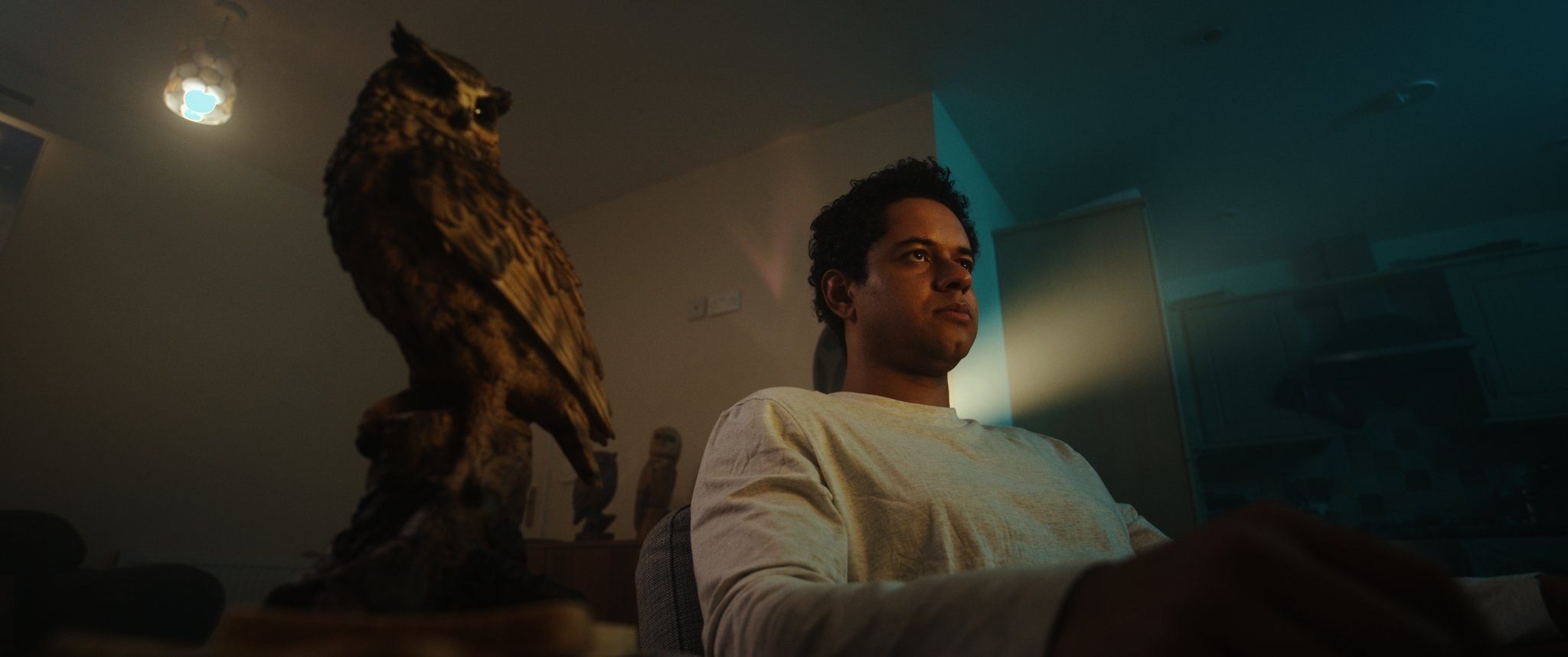 Reel Terror, short film shot by cinematographer Lou Murrall